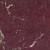 Aegean Bordeaux